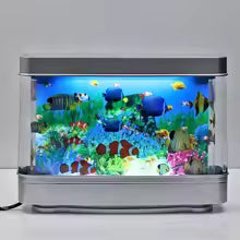 Aquapop Fish Tank